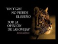 /album/fotogaleria-inicio/para-la-pagina3-jpg/